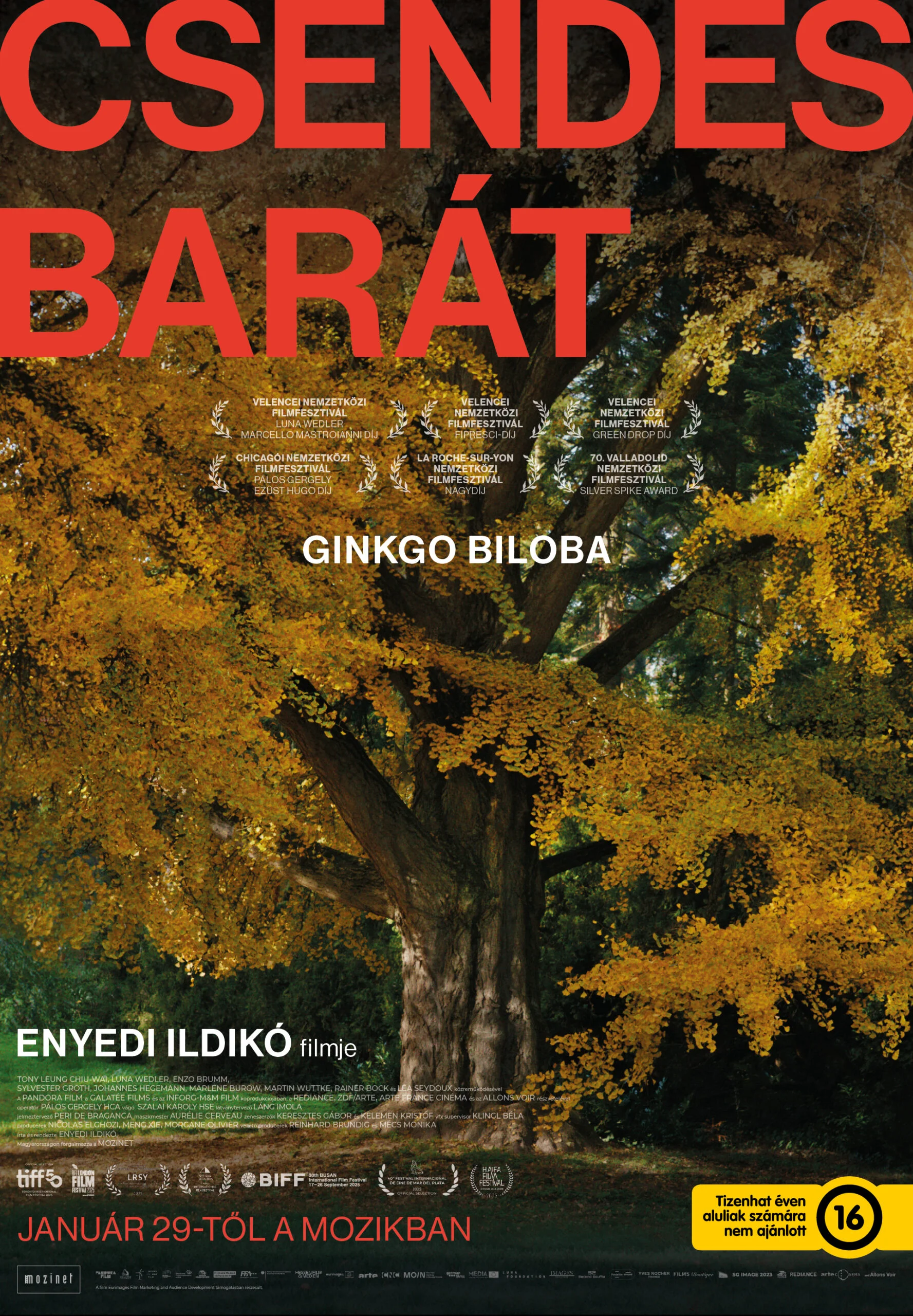 Csendes barát / Silent Friend