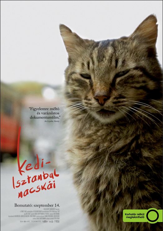 Kedi - Isztambul macskái // Nine Lives: Cats in Istanbul